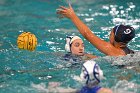 WWPolo @ CC  Wheaton College Women’s Water Polo at Connecticut College. - Photo By: KEITH NORDSTROM : Wheaton, water polo
